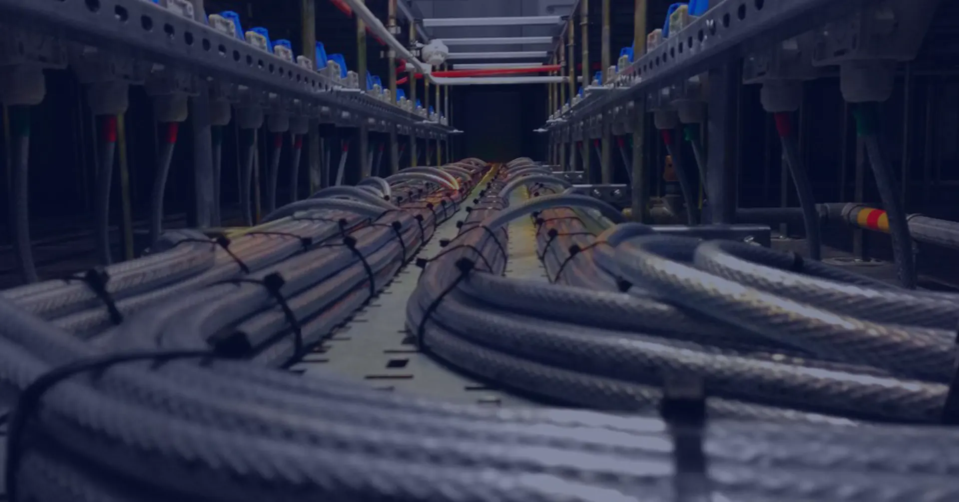 Richten op groei in een veranderend ZZP-landschap. Elektrotechniek en Datacommunicatie